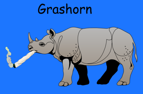 grashorn